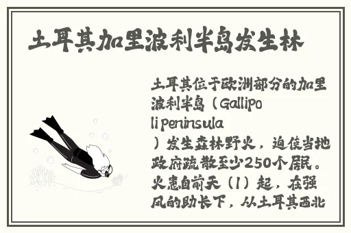最近中文字幕高清中文字幕2018